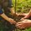 How to plant a tree 