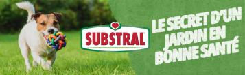 Substral Economic engrais pelouse plus epaisse plus saine